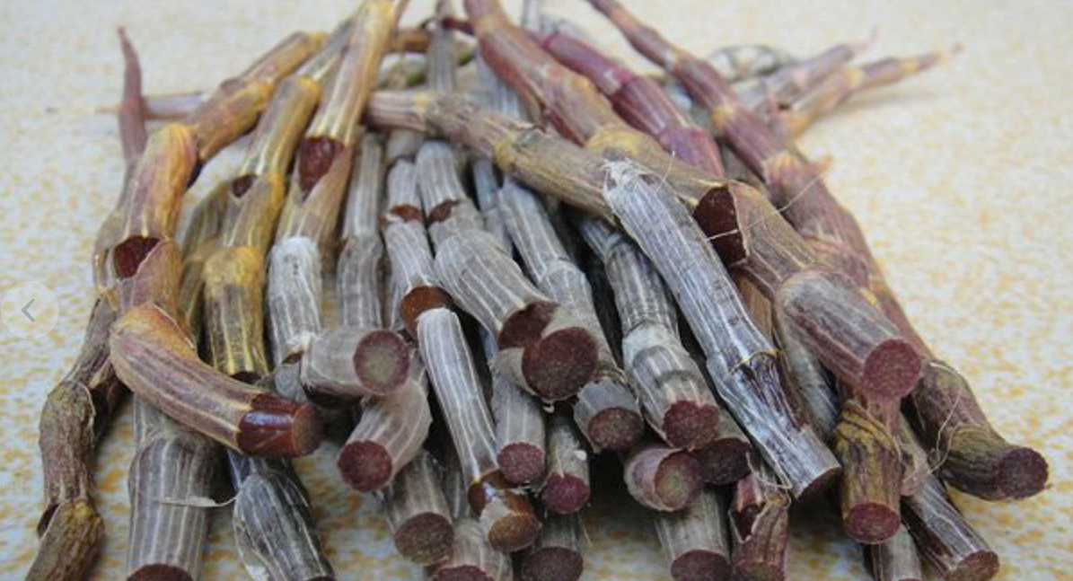 紫皮石斛都用什么做基质进行培育?石头树木?如何才能花开旺盛?