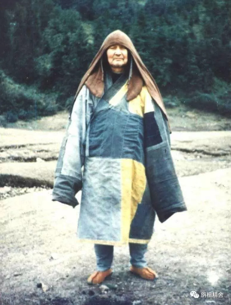 体光老和尚开示:狐狸精与狮子王