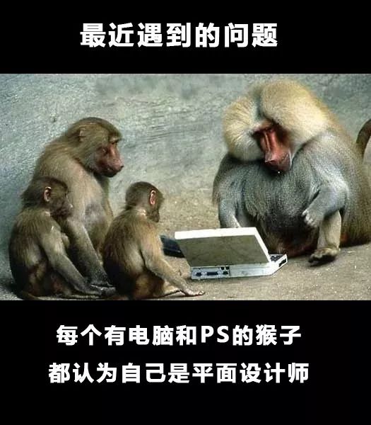 设计师专属表情包,简直是的快乐源泉