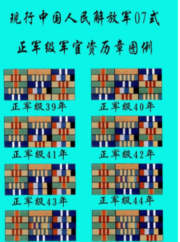 中国的军衔资历牌标志图片
