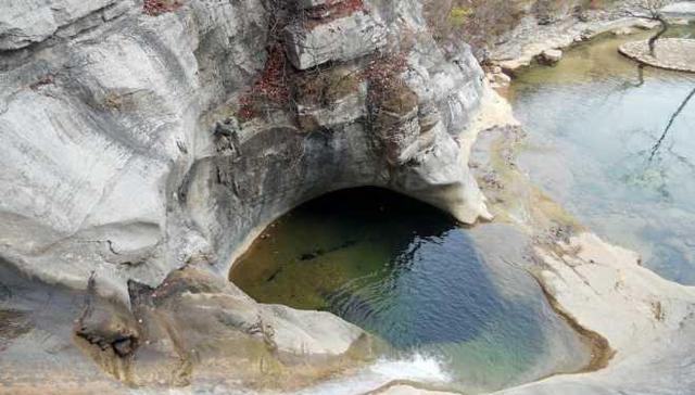 《山海经》之柢山上的鯥和现代的箱豚