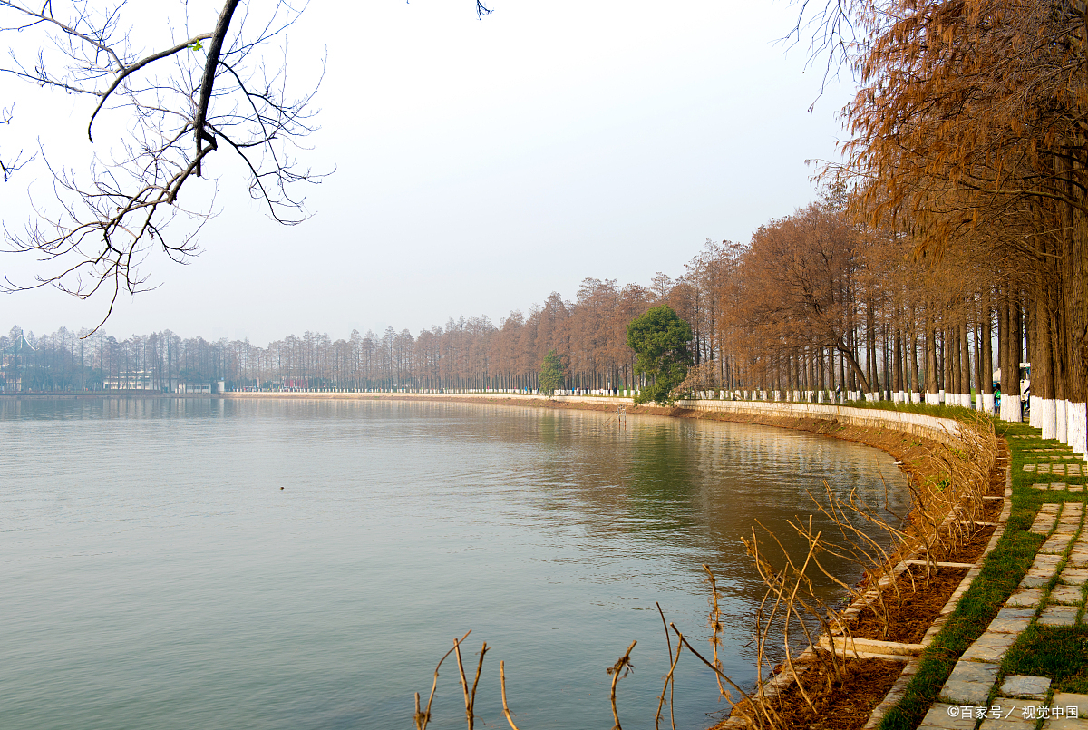 武汉周末好去处之四:东湖风景区,自然与城市的完美结合  武汉东湖风景