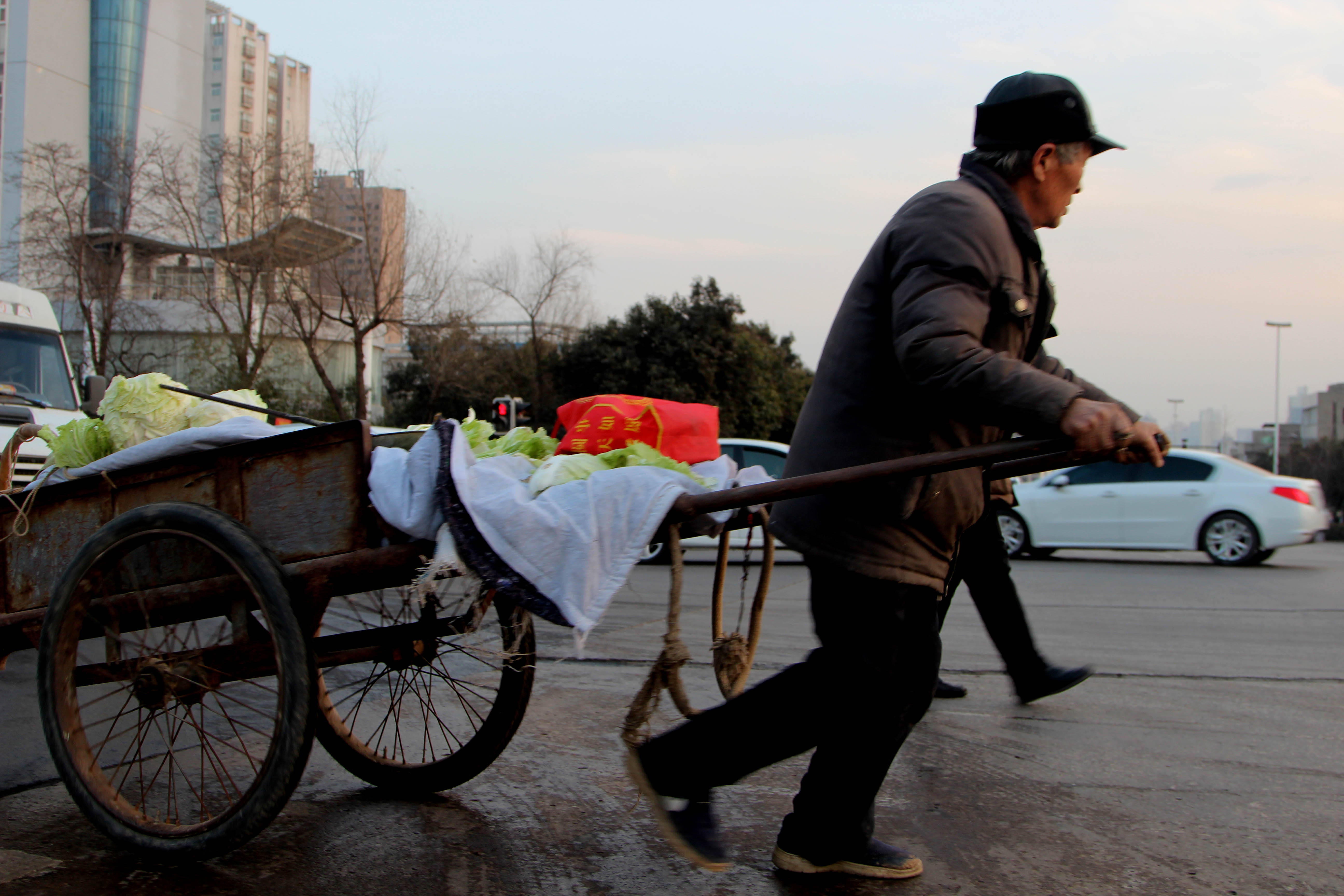 老汉拉架子车走10里进城卖菜:锻炼身体