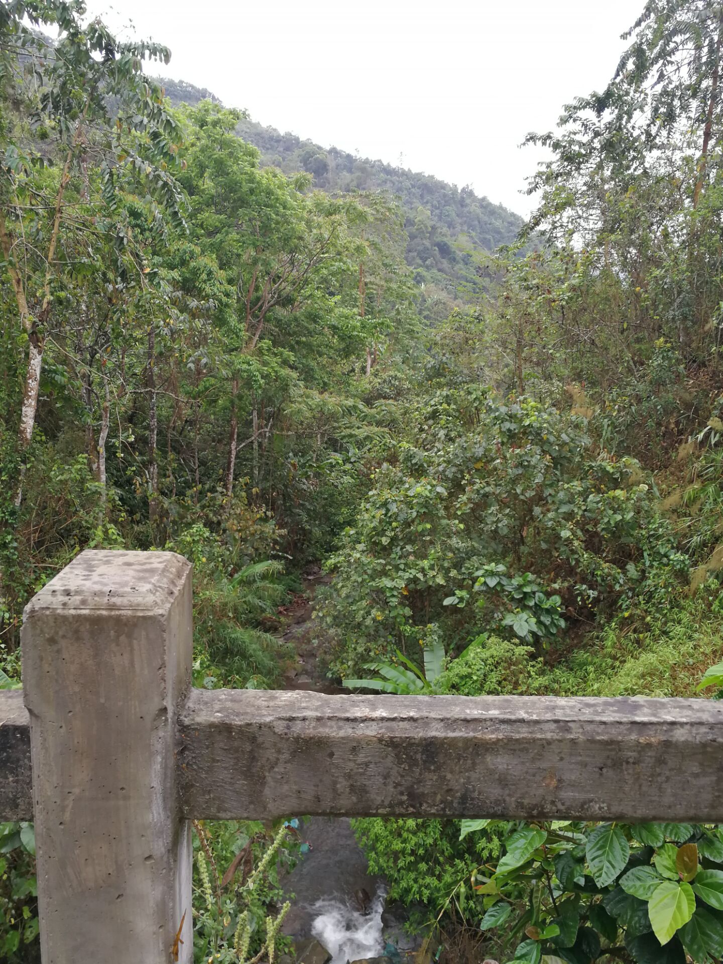 溯流而上,去茶人的发烧之地:同庆河