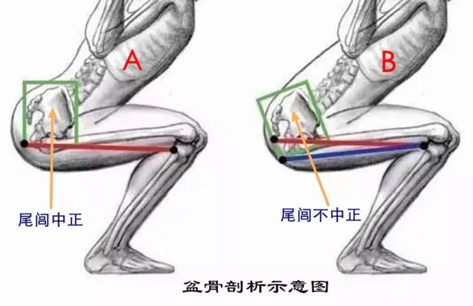 從楊澄甫拳照去體悟尾閭中正是立身中正的關鍵