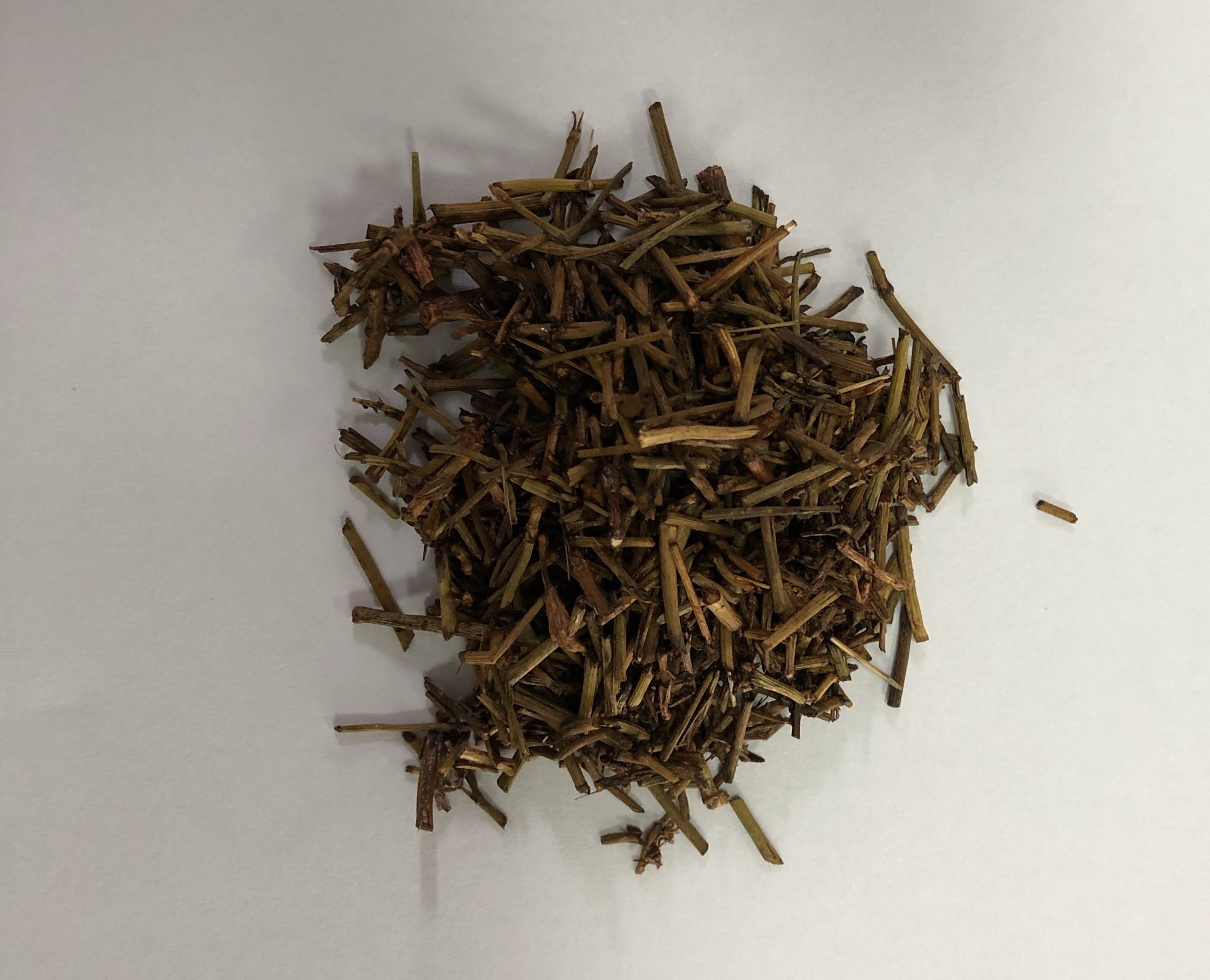 发汗解表第一药 ─麻黄