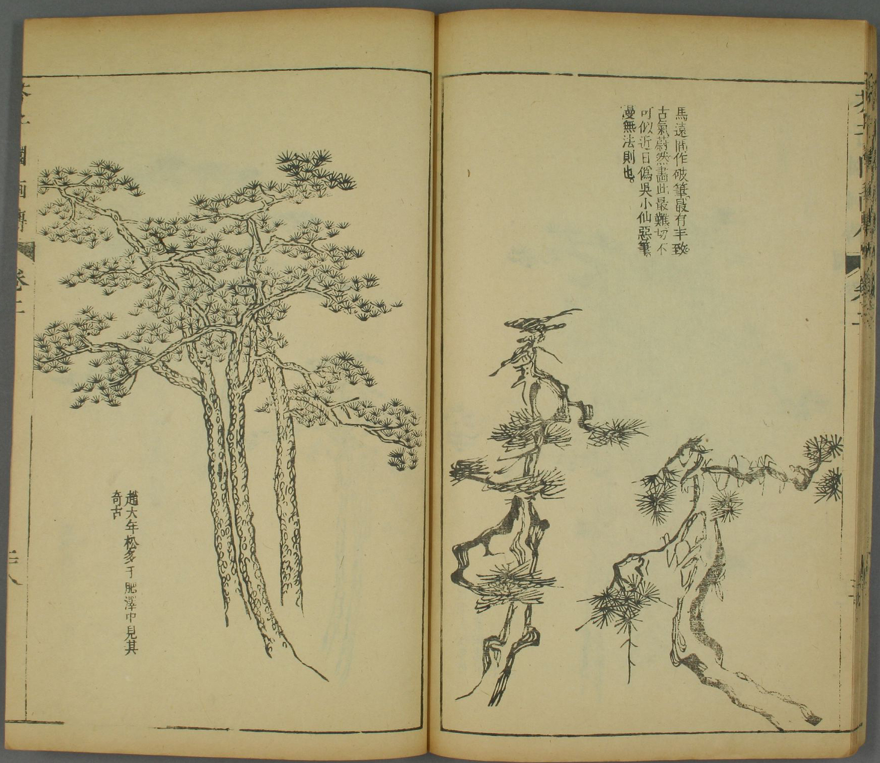 《芥子园画谱》山水篇之树谱精选高清图,学山水不可不读!