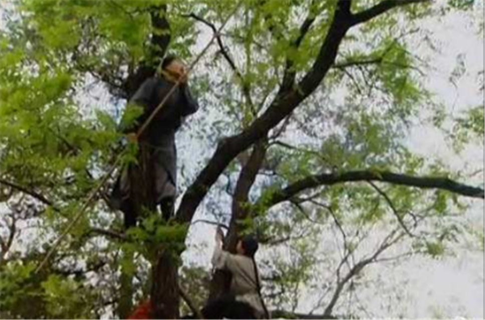 清朝为何废了锦衣卫,后设立粘杆处,这又是一个什么样的机构?