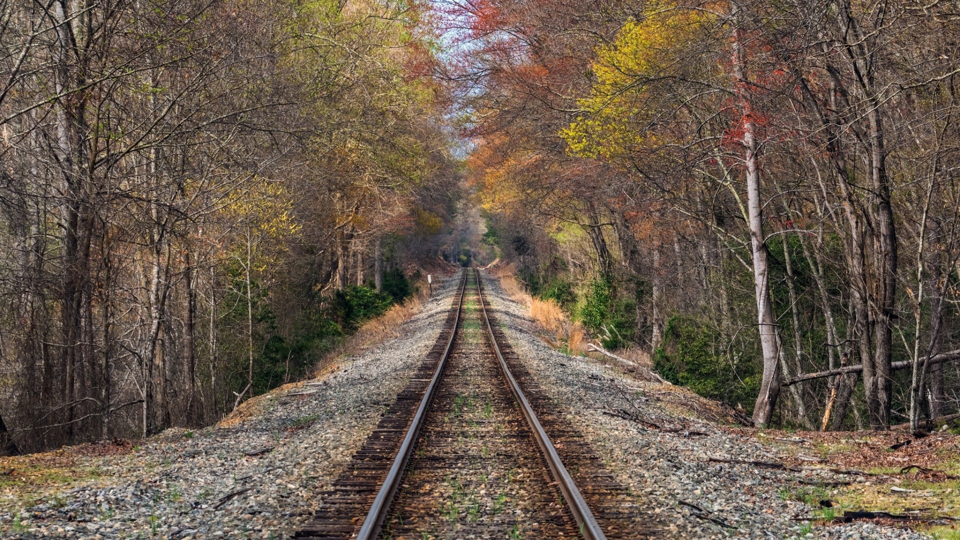 一望无边的铁路,图片,高清壁纸,风景