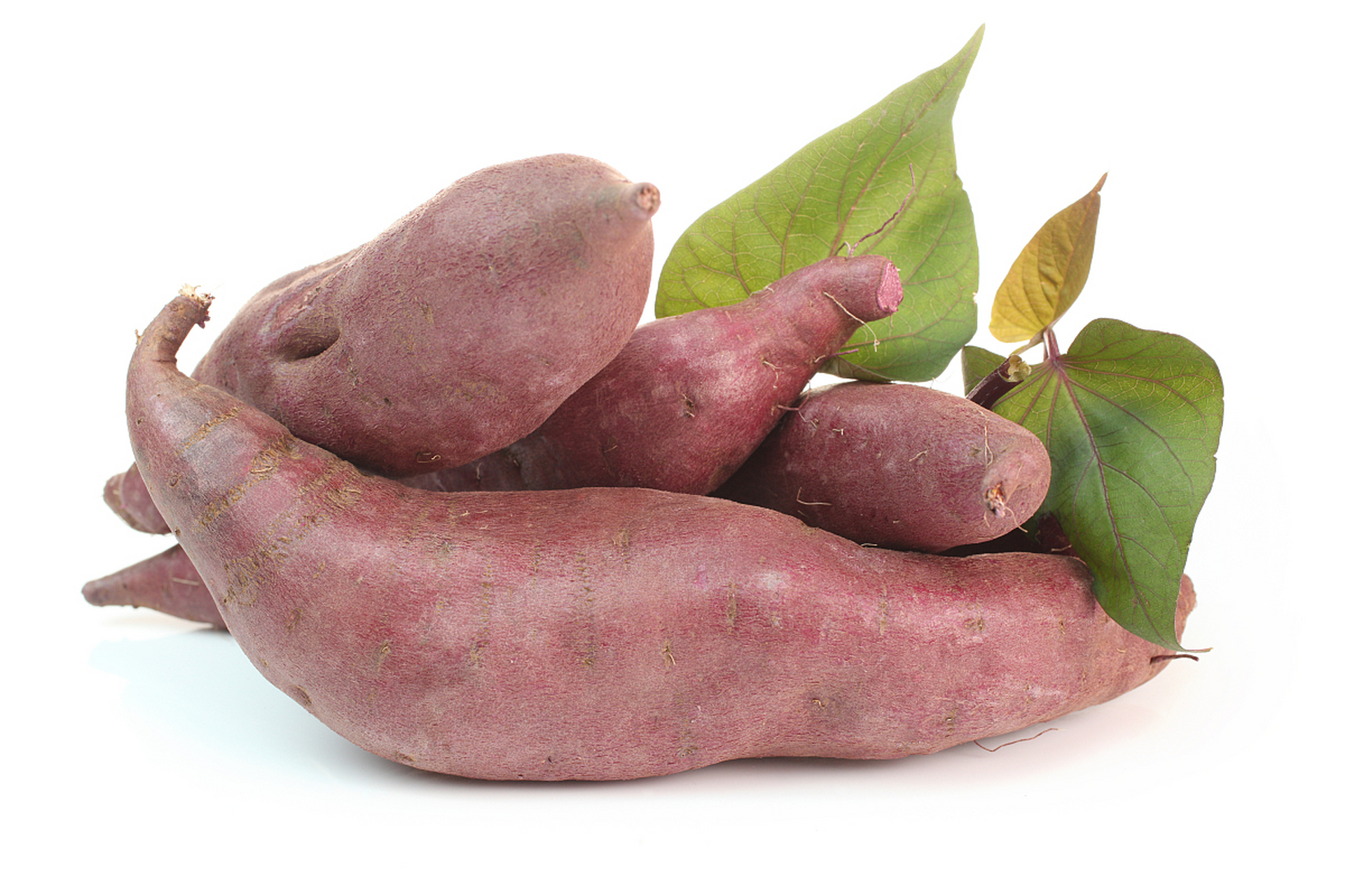 红薯是一种营养丰富,口感美味的食品,但在选购和食用过程中,我们