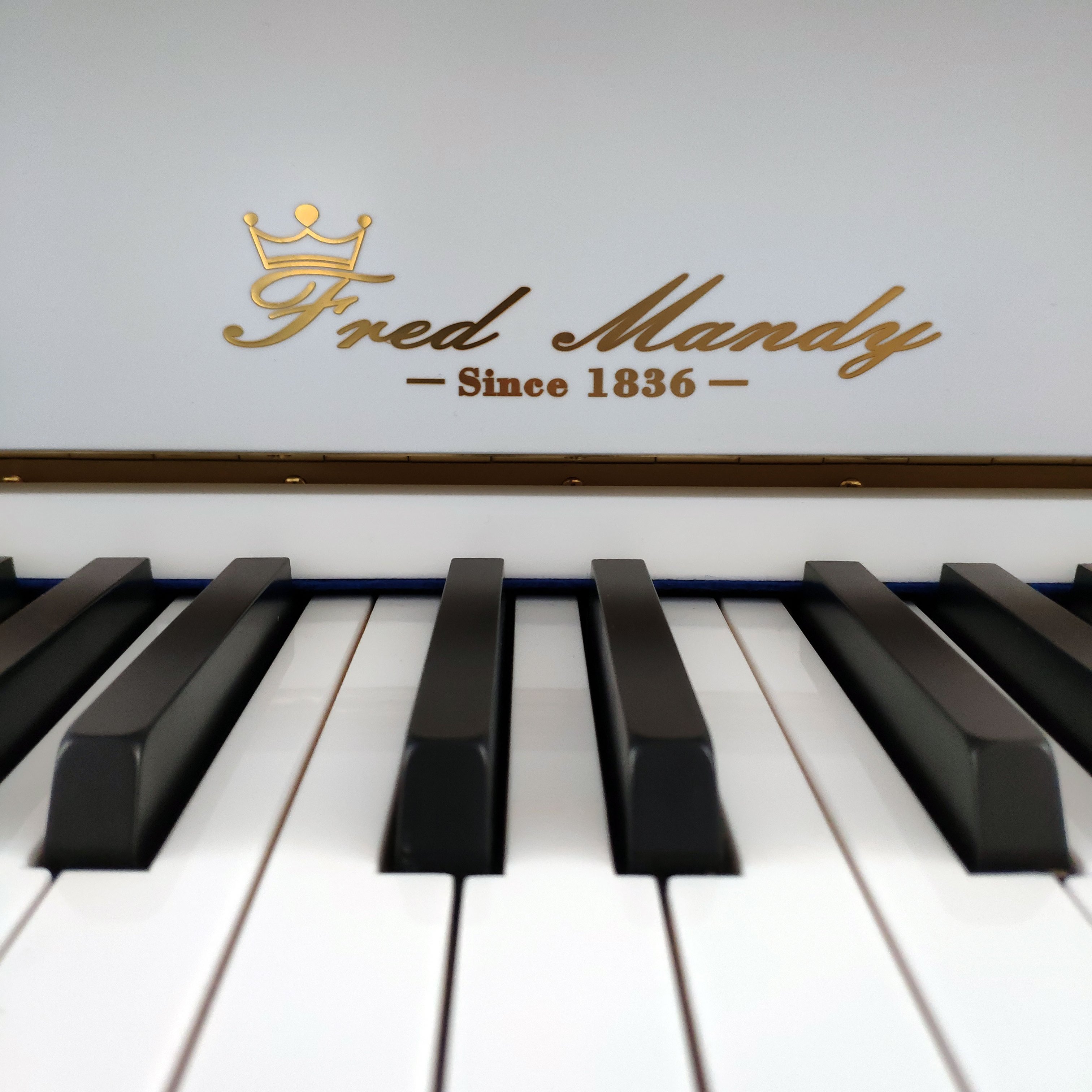 弗莱德曼迪钢琴美图