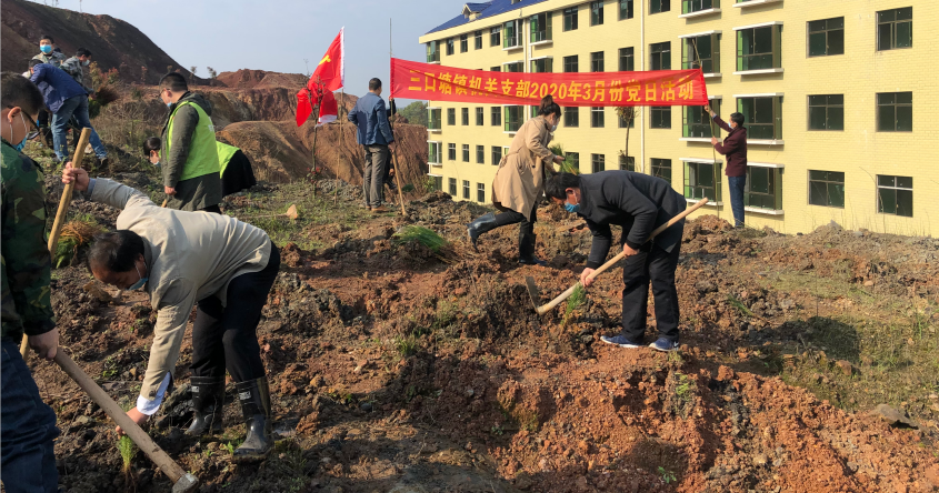 祁阳三口塘镇开展植树活动