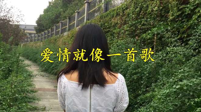 [图]一首情歌《爱情就像一首歌》送给你，歌声越听越美妙，好听极了