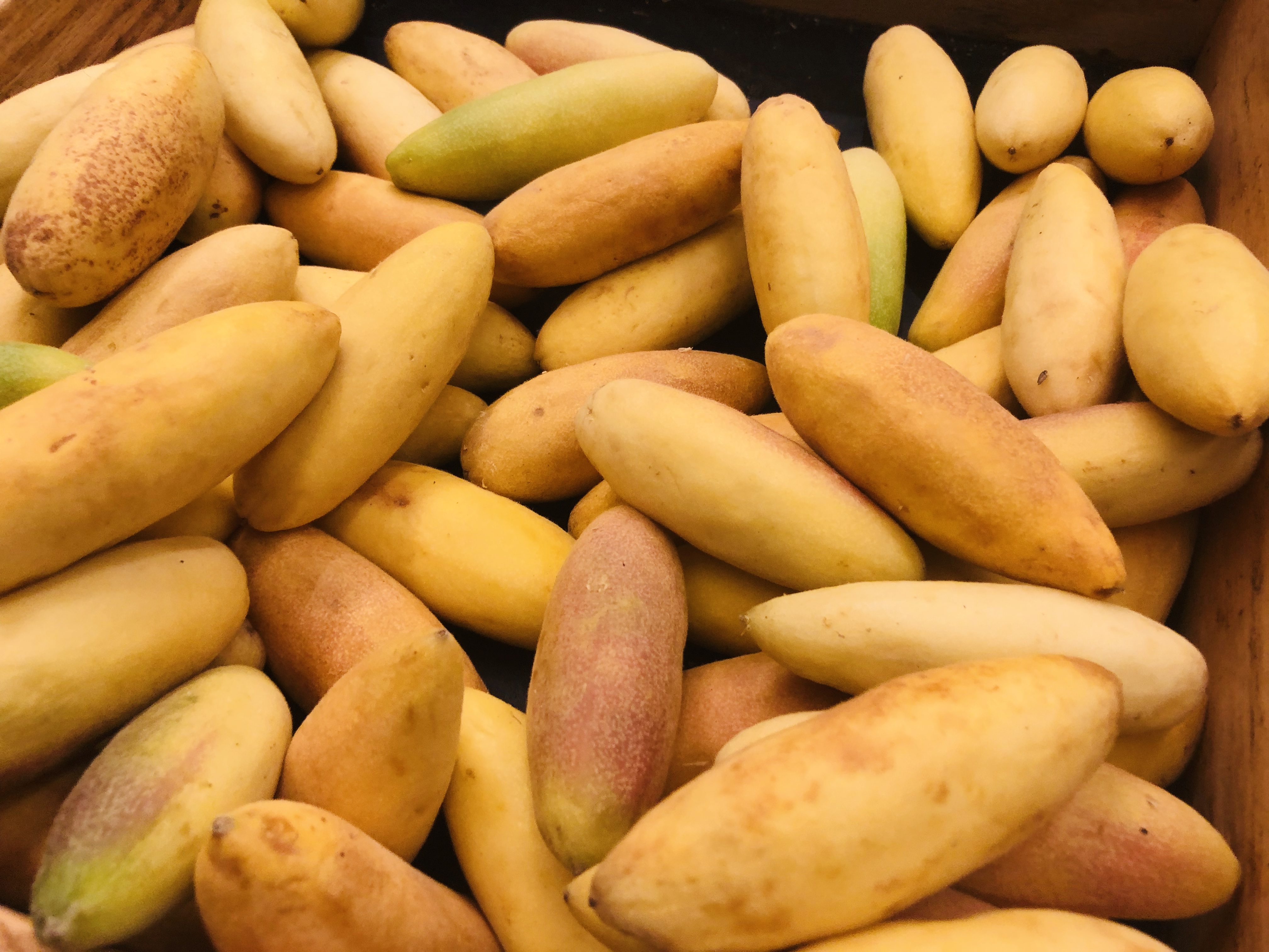 curuba 香蕉百香果