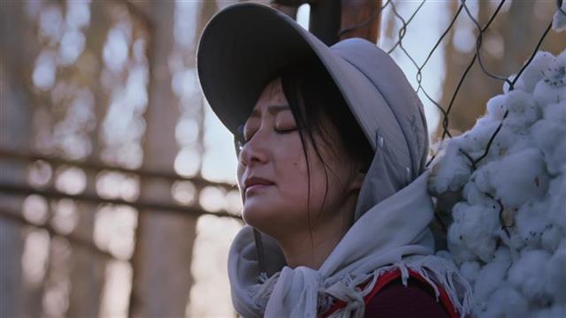 素人主演的电视剧登陆"央八黄","土味剧集"《花开时节》你们看了吗?