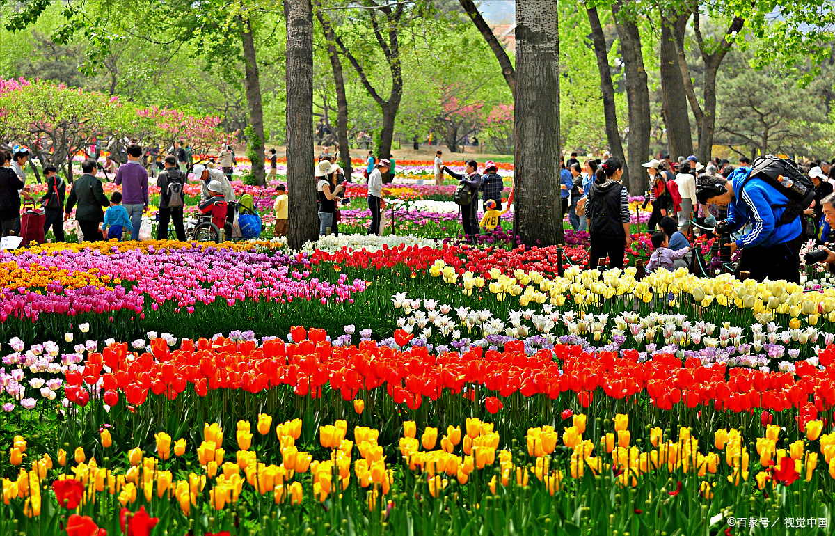 北京植物园一日游攻略,为你准备好,建议收藏分享