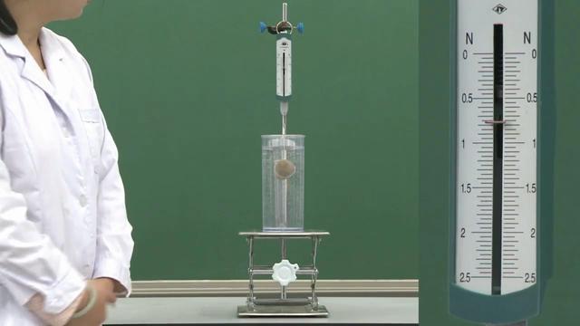 10.1「浮力」知识梳理02:浮力的测量&影响浮力的因素