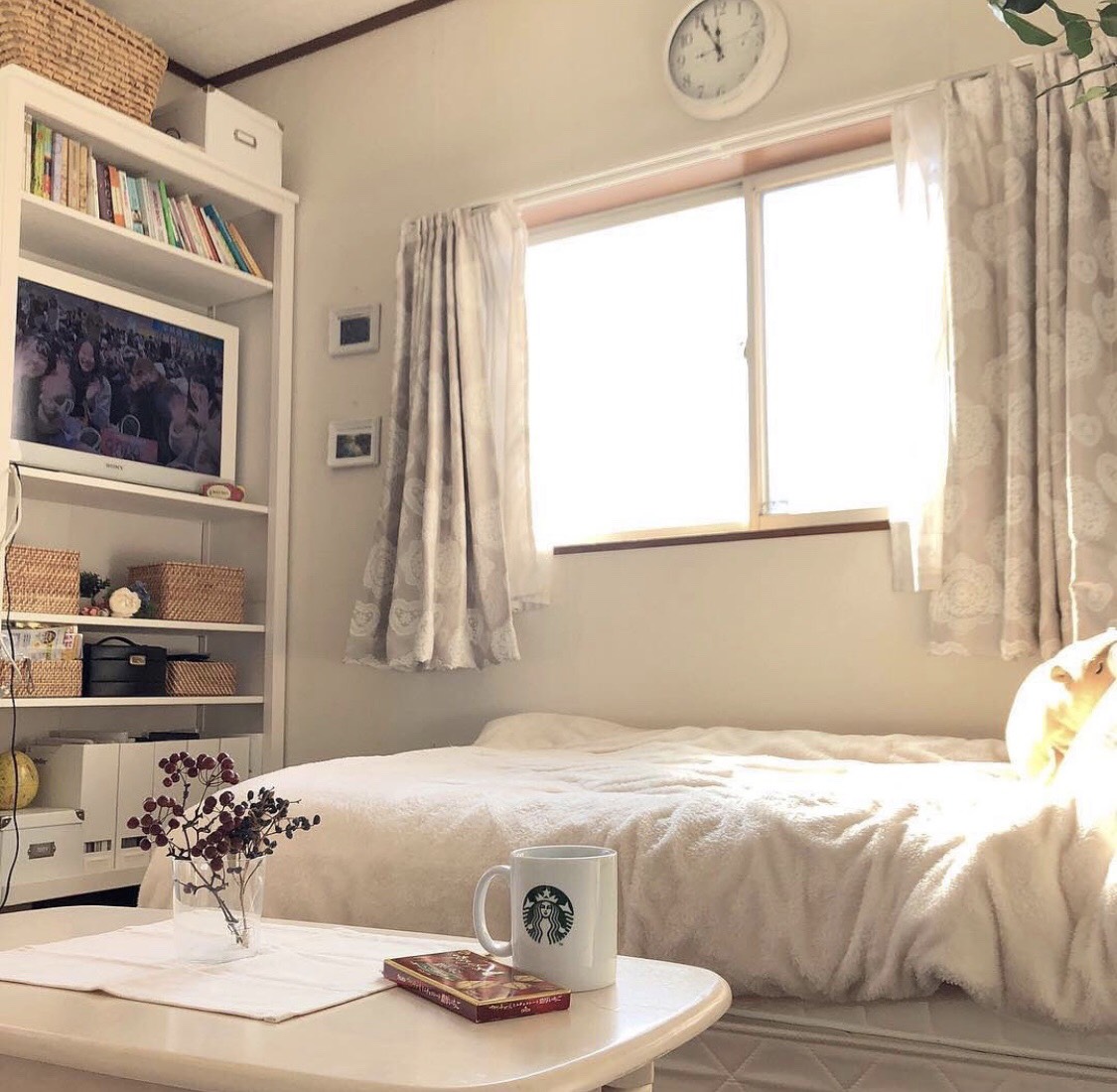 10㎡蜗居一个人的生活!20张图告诉你,单身生活到底有多爽!