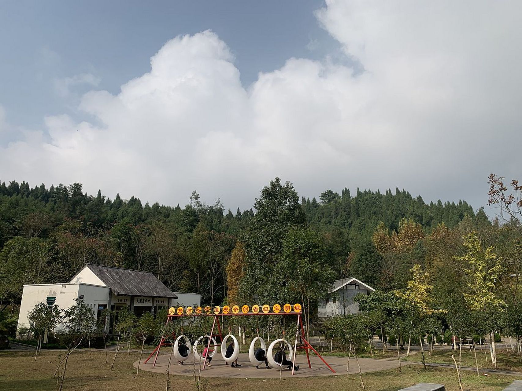 镜头里的春天# 金城山的春季更是动物们的乐园,松鼠在枝头轻盈起舞