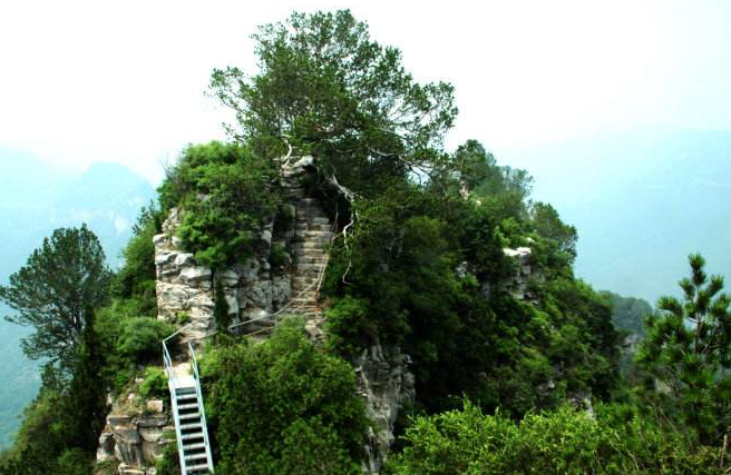 神农山是国家aaaaa级风景旅游区,景色优美,山峦叠翠!