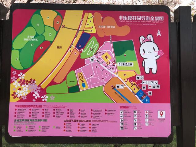 春暖花开,自驾游郑州丰乐樱花园,谈谈出游感受,看完避免踩雷