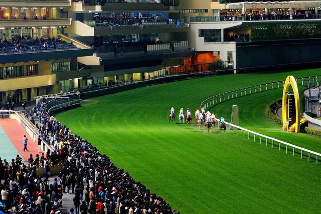 香港马会1名女会员确诊新冠肺炎,今夜"及时行乐"照跑马