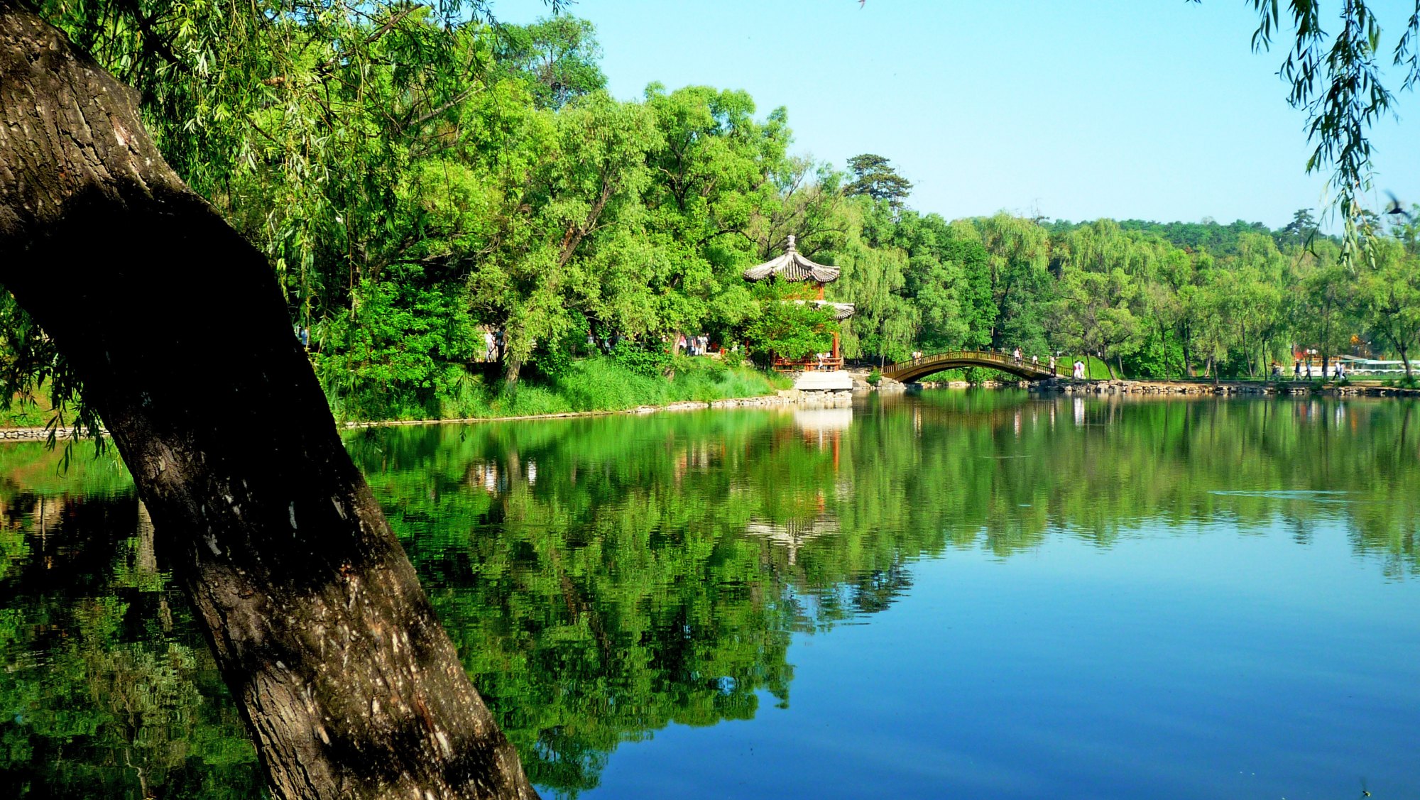 8月"最适合"去的地方:大连,承德避暑山庄,坝上草原排名前三