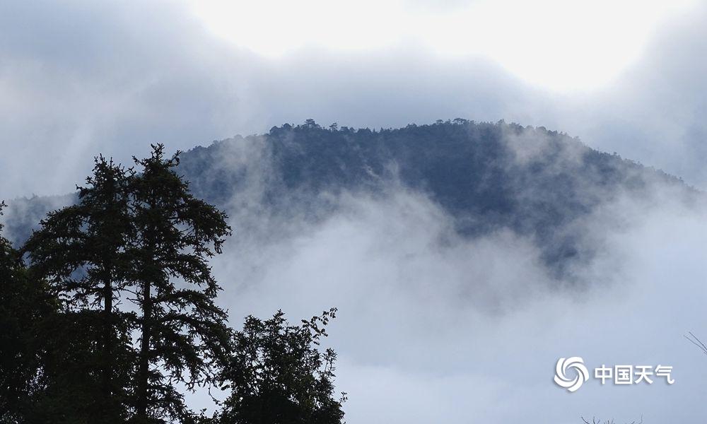 井冈山晨雾缥缈 云海翻腾似仙境