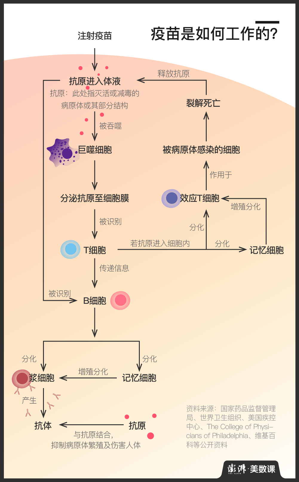 涨知识