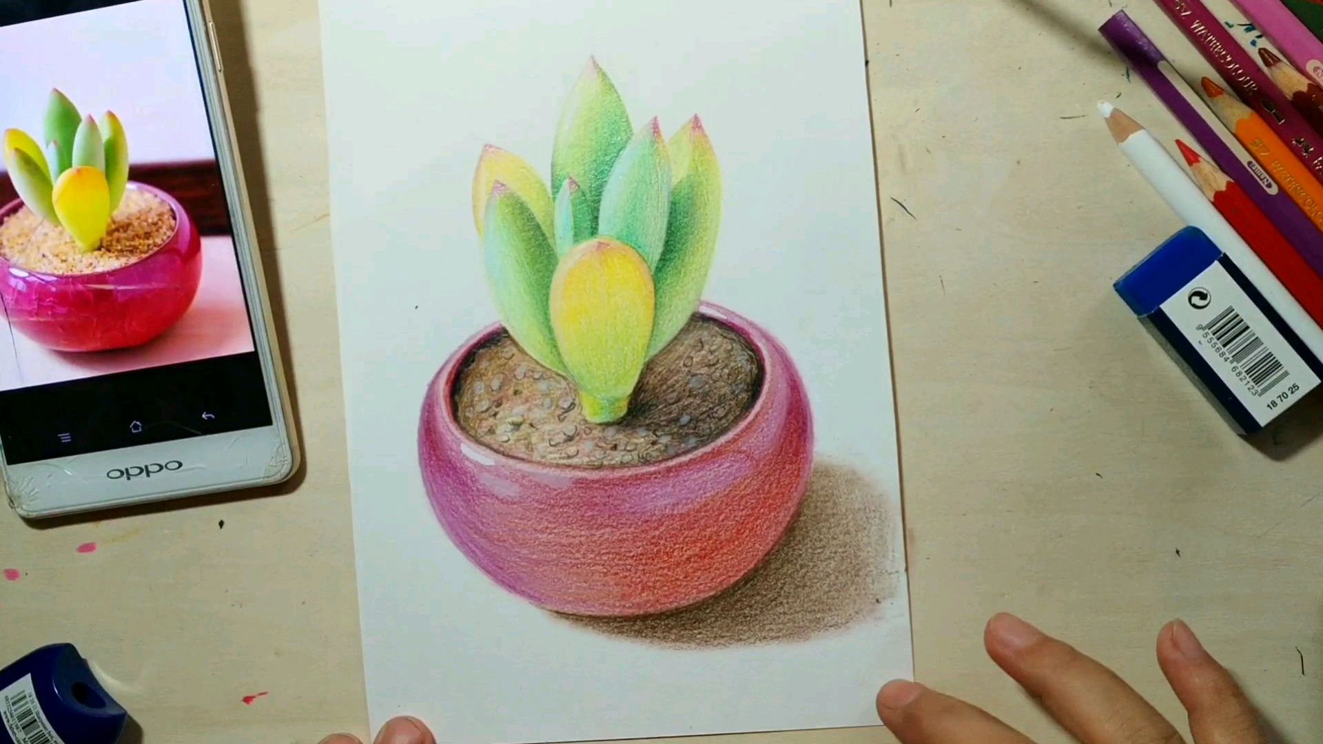 多肉原来这么画!彩铅超可爱的多肉绘画过程