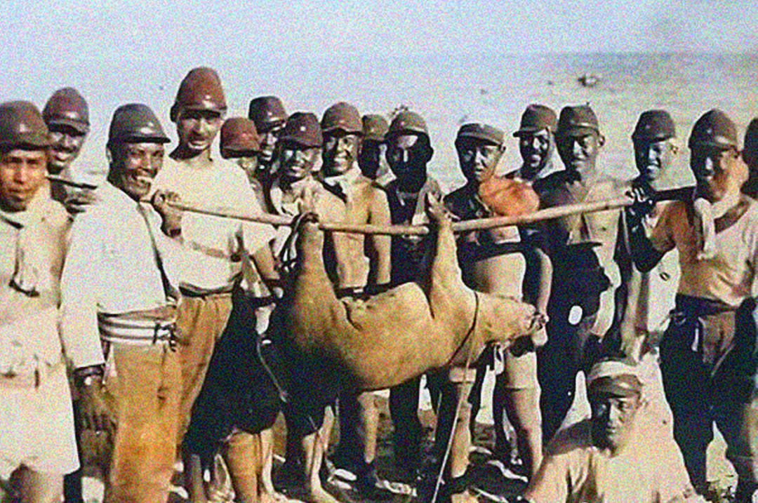 日本战地记者拍摄的照片,鬼子进村偷猪,真实场景令人发指