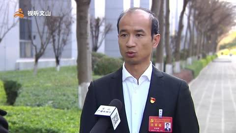 全会访谈|杜跃辉"让文山工业经济发展步入良性循环轨道"