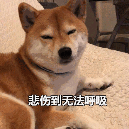 才22岁的我也逃不过 家里人锁我命运的喉咙
