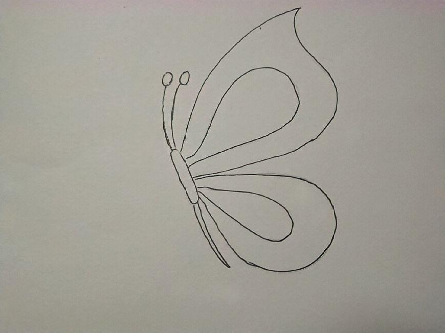 儿童画线描——小蝴蝶的魅力花纹!