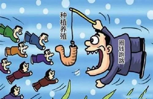 农村养什么最挣钱还来钱快(农村养什么最挣钱还来钱快一点)
