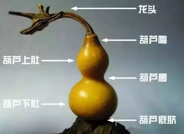 把玩葫芦变红步骤图