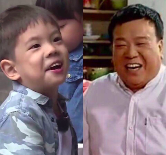 马书良和嗯哼对比照神似,霍思燕机智回应7个字,被网友大赞情商高