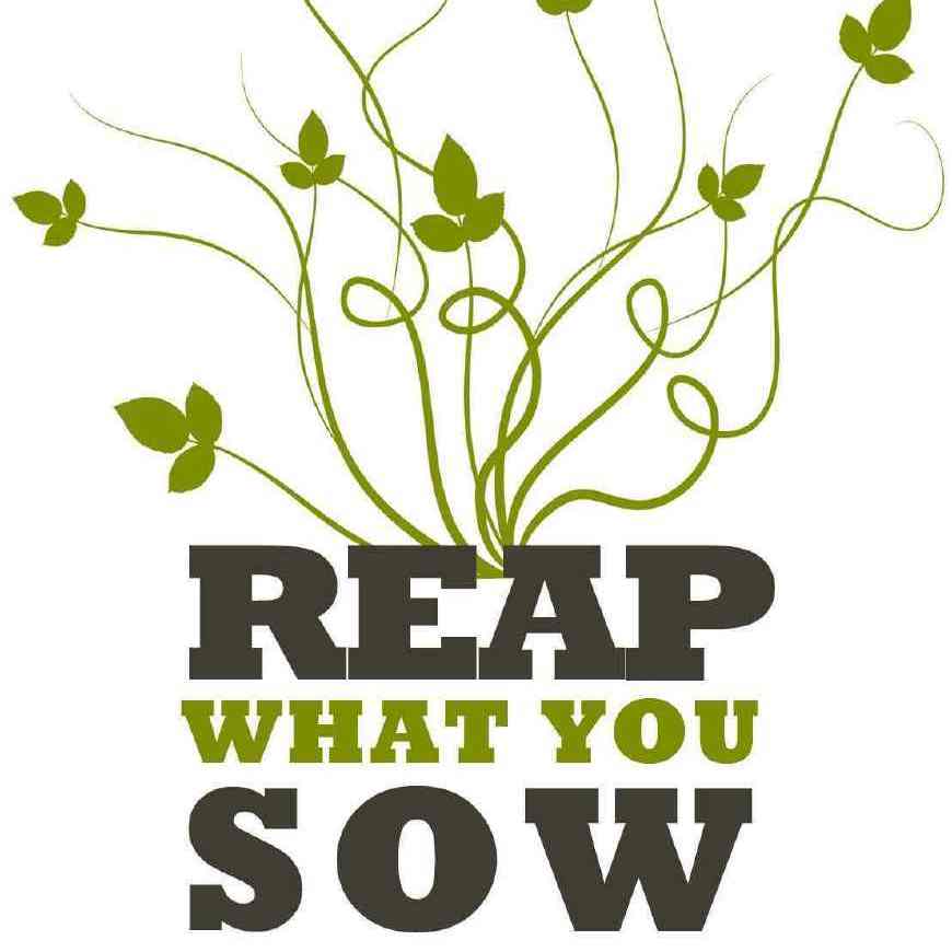 荔枝- 热门商品专区