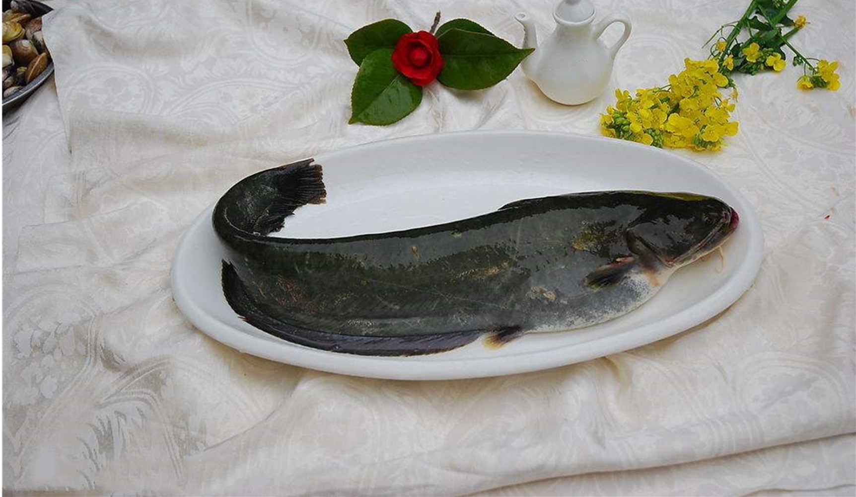 做法简单的豆瓣酱烧肥鱼,香辣肉嫩,味道鲜美,好吃又营养