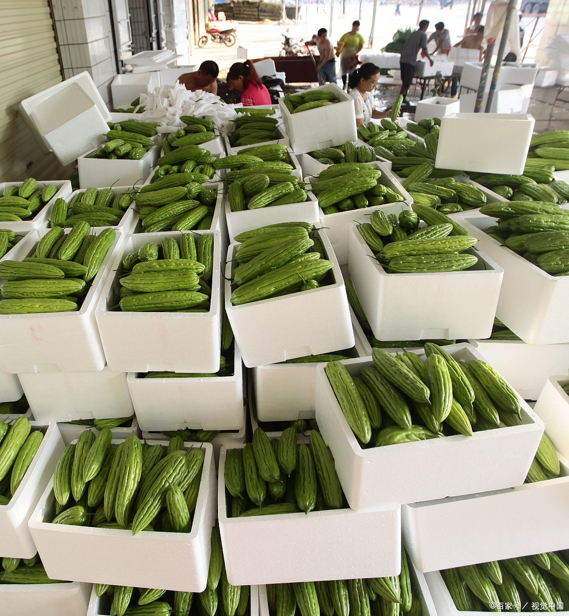 西安蔬菜配送注意事项包括: