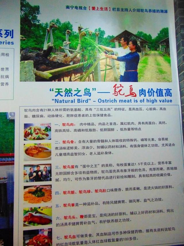 到森林鸵鸟主题餐厅,除了鸵鸟宴,还有让你惊奇的东西