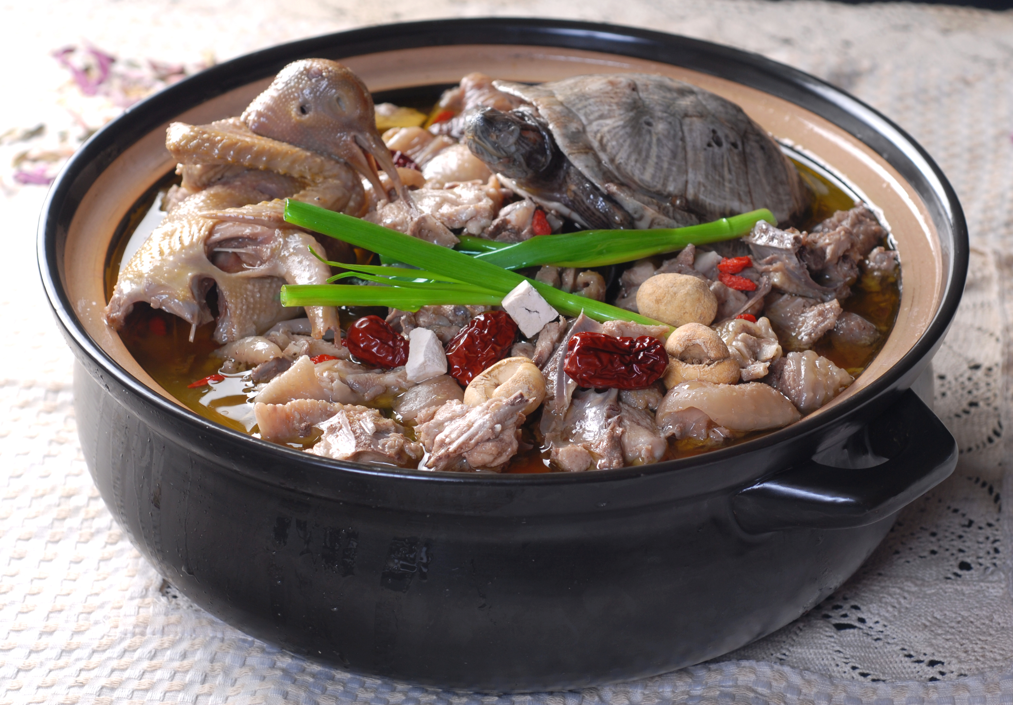 每日推荐六道菜:不知道吃什么的时候一定要来看看 茯苓贝母龟鸽汤