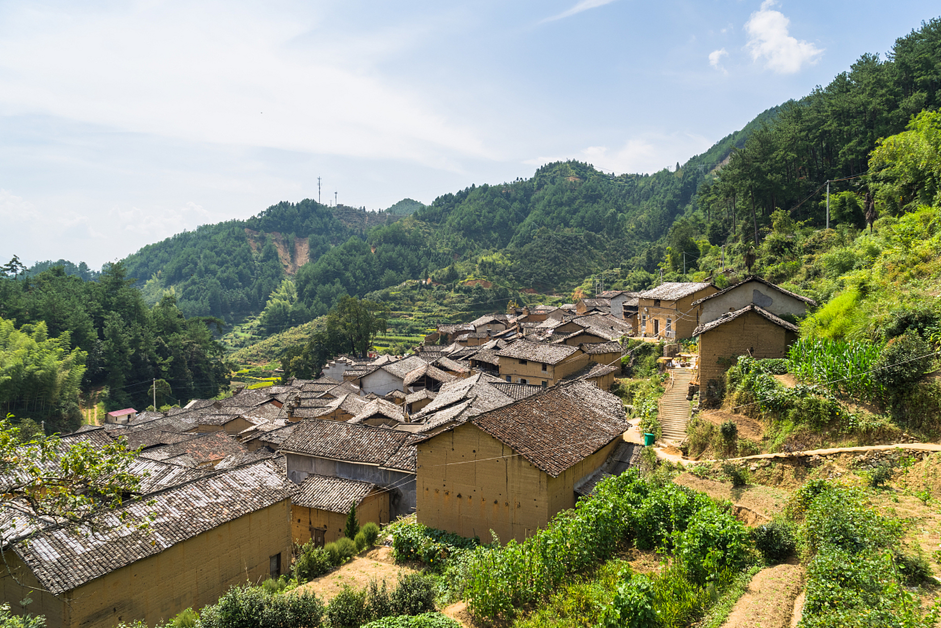 泰顺县乡镇图片