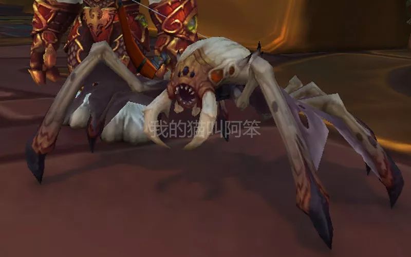 5猎人可驯服橙色吸血蛛,驯服野兽保留名字有限制