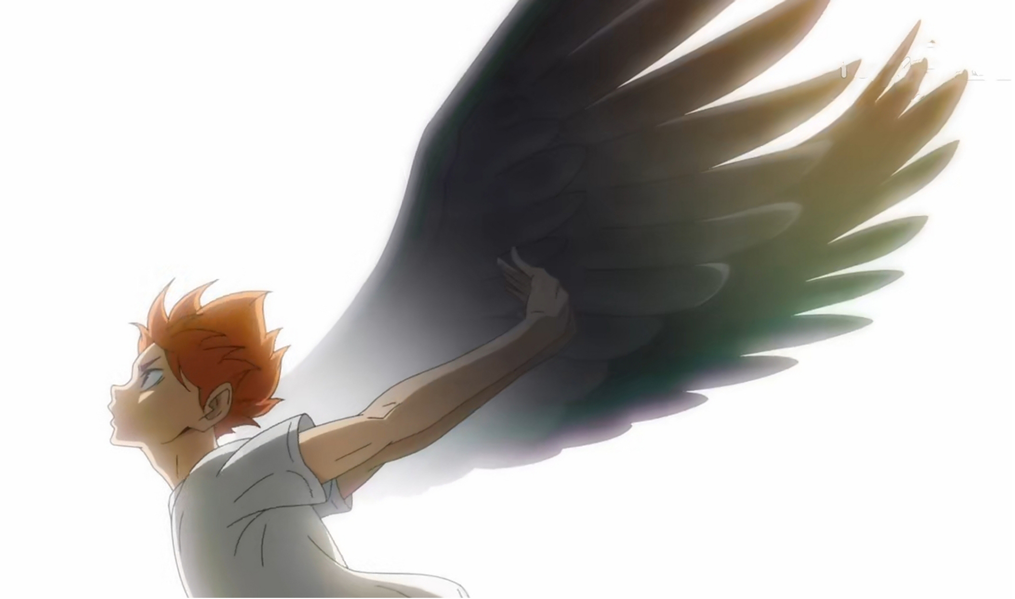 排球少年第四季,超燃op点燃新篇,目标全国大赛,位置是捡球手