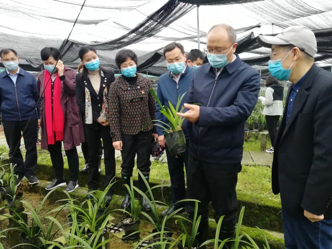 朱余旺到乐昌市调研春耕生产和脱贫攻坚工作