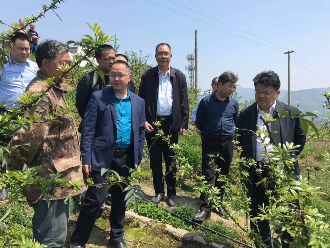 吴高波到北部乡镇督导脱贫攻坚"冲刺90天打赢歼灭战"工作