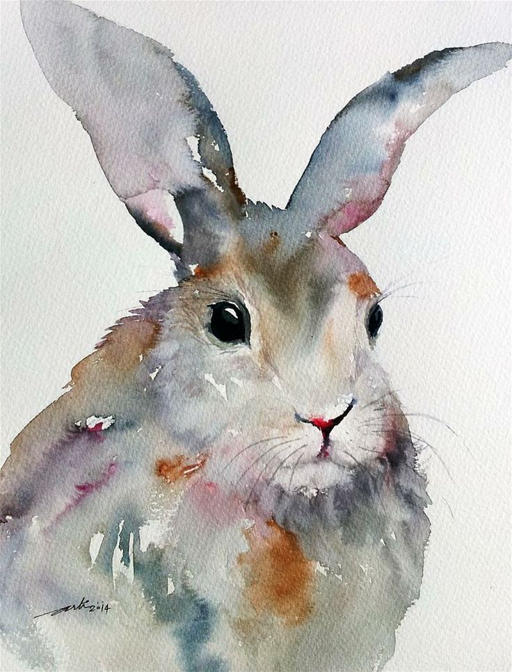 兔子水粉画高级图片