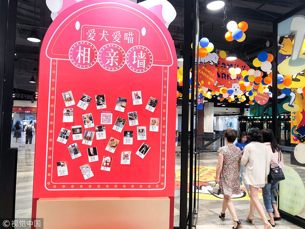 宠物也相亲!商场惊现猫狗征婚墙 单身狗也要迎春天