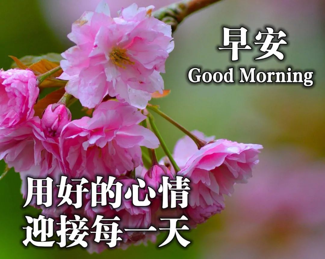 五四早上好特美祝福问候壁纸图片带字,致青春的朋友们